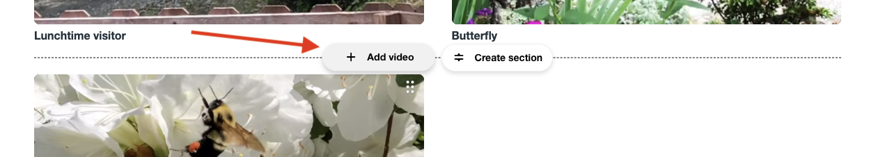 프로필 페이지의 동영상 아래에 마우스 커서를 올려 놓으면 표시되는 동영상 추가 버튼의 스크린샷
