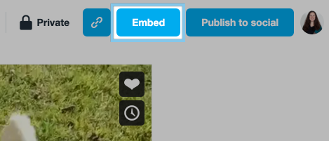 The 'Embed' button. It can be f ound in the top-right corner of a video's edit page. It is after the link button and before the 'Publish to Social' button.