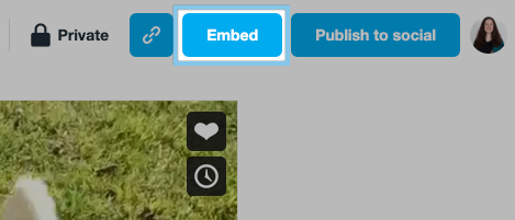 '임베드' 버튼 동영상 편집 페이지의 오른쪽 상단 모서리에서 찾을 수 있습니다. 링크 버튼 뒤, '소셜에 게시' 버튼 앞입니다.