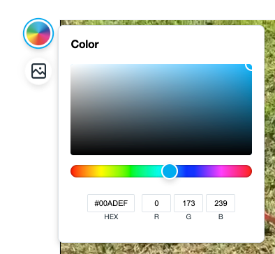 The color picker. You can either pick the color by dragging the slider in the color bar and box, you can enter in the HEX color code, or you can imput the Red, Green, and Blue values.