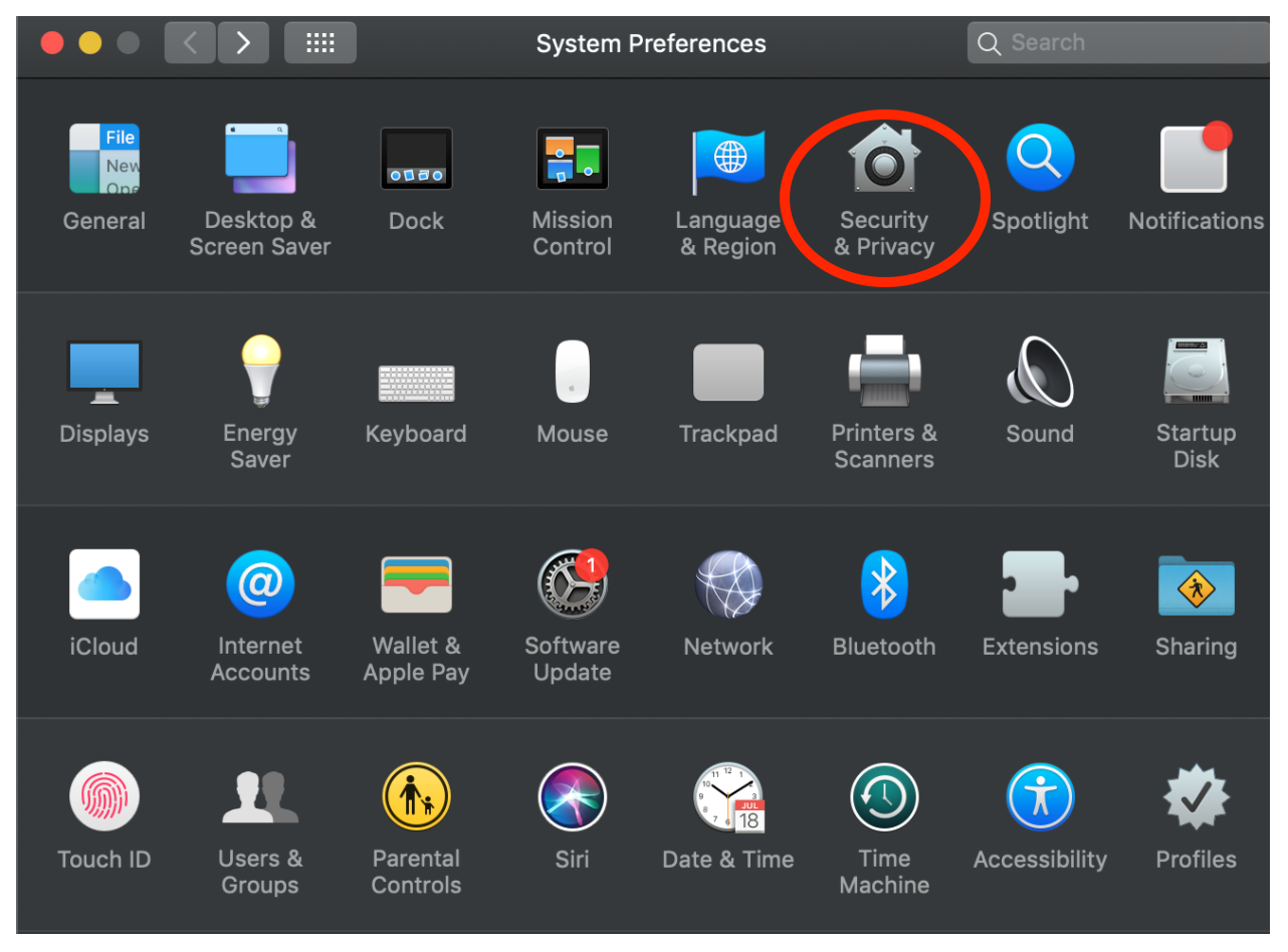 The System Preferences window on MacOS. The security and privacy button icon is illustrated with an icon of a silver house with a silver circle in the middle outlined in black. It has the label 'Security & Privacy' under the icon.