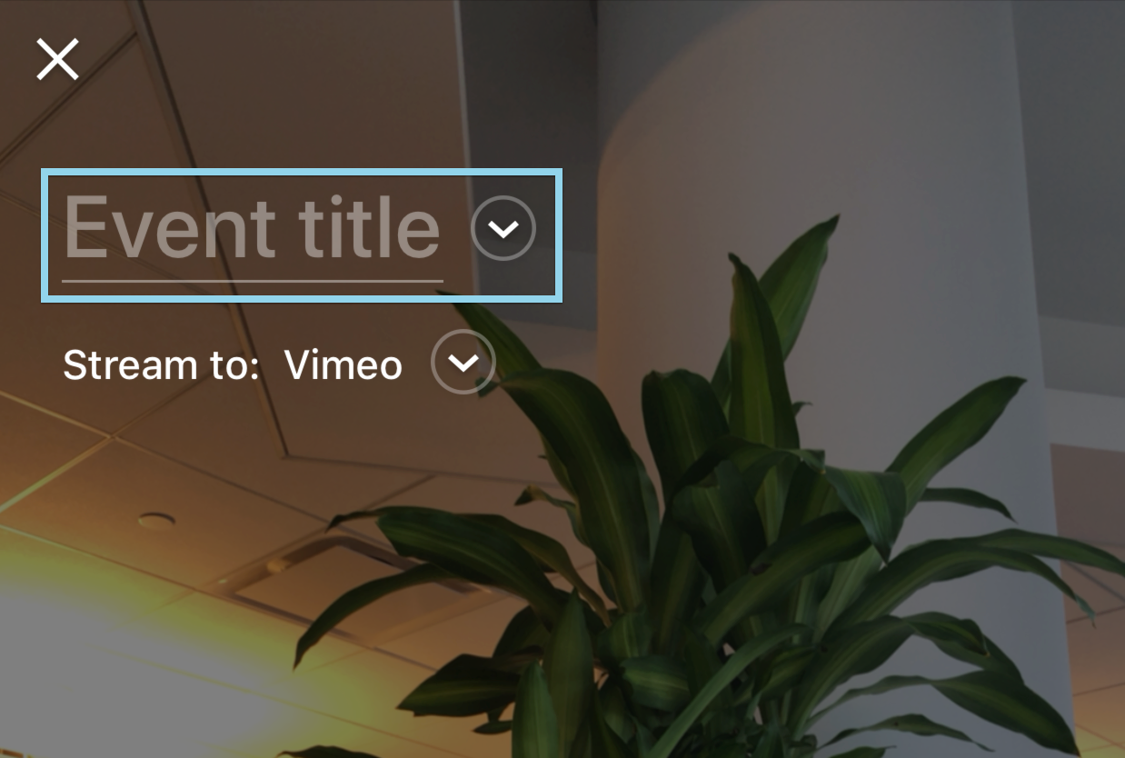 Vimeo stream hot sale to tv