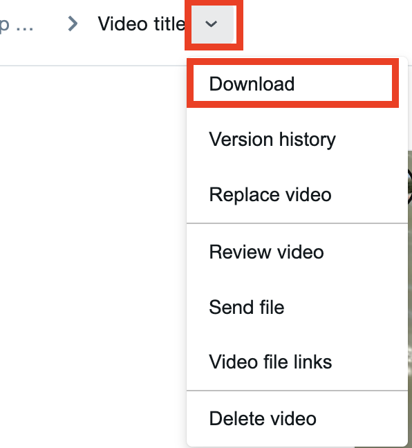 Video page dropdown download.png