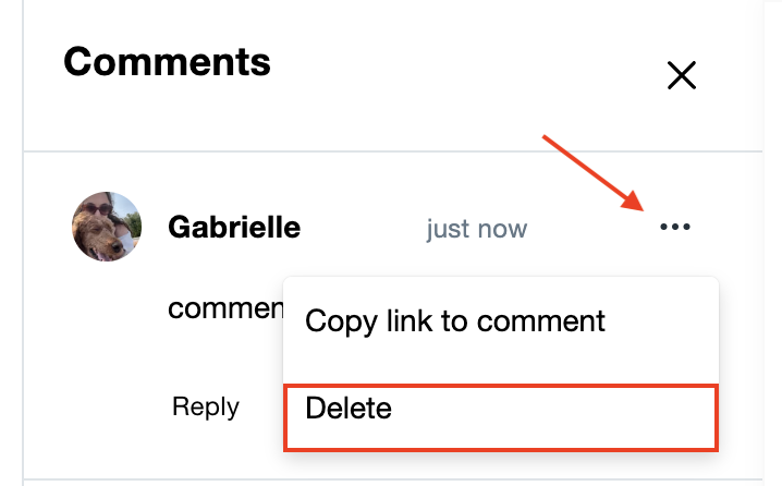 delete comment.png