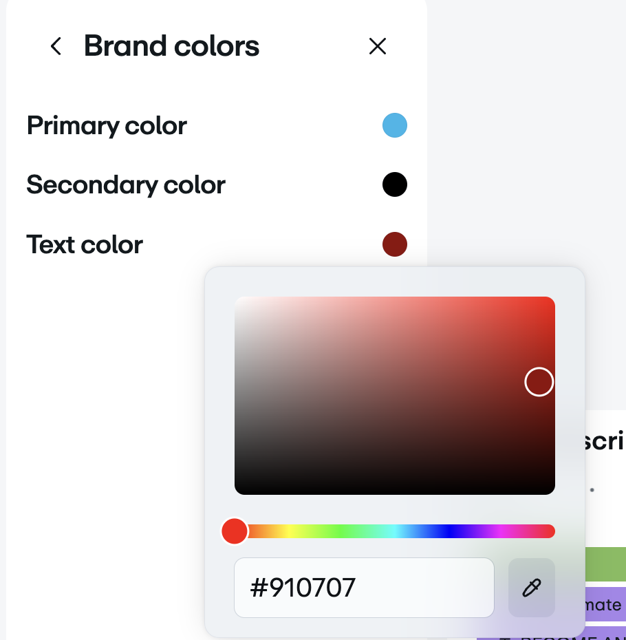 Interface for customizing brand colors. Users can select primary, secondary, and text colors using a color picker tool.