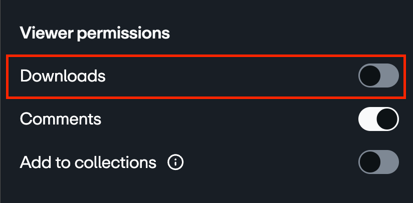 The 'Downloads' setting, highlighted under 'Viewer permissions', with its on/off toggle switch."