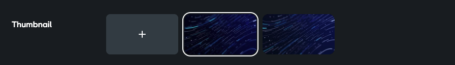 Thumbnail section with one thumbnail selected