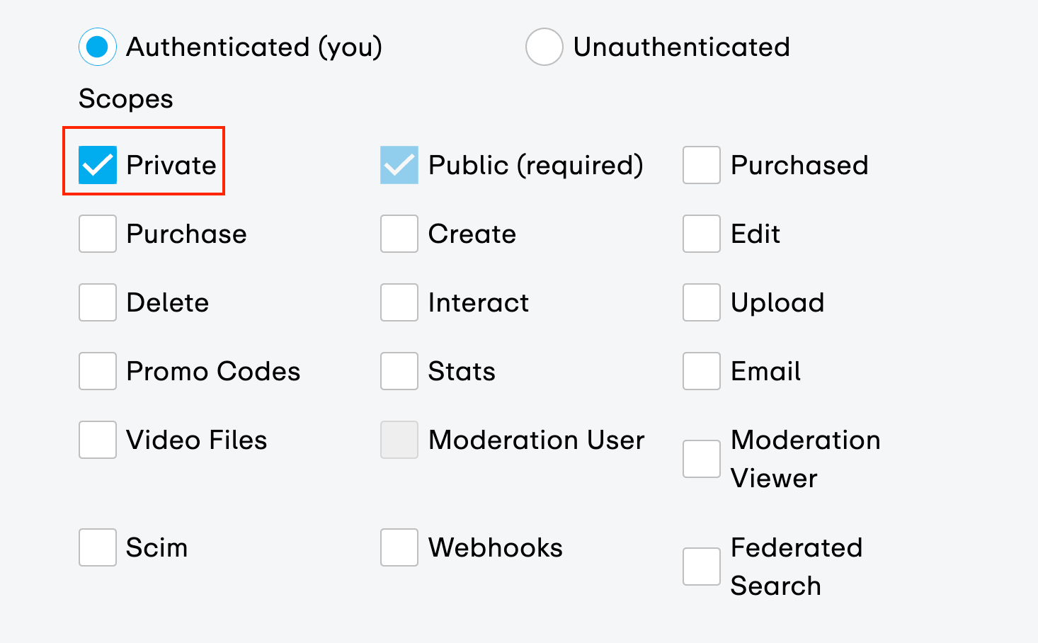 The 'Private' scope checkbox highlighted, showing it must be selected to make other permission scopes available."
